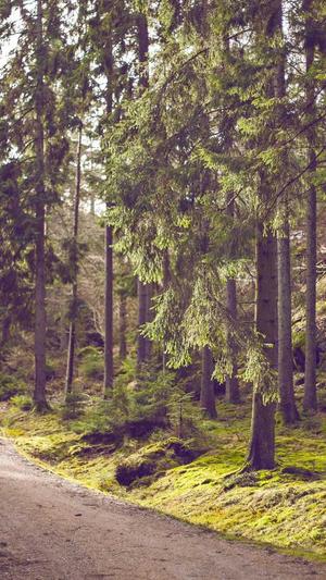 黑料正能量地址截图3