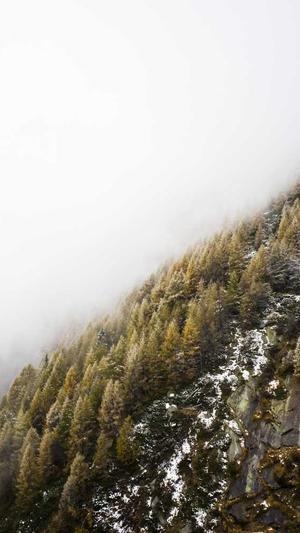 抖音上设计师april黑料截图2