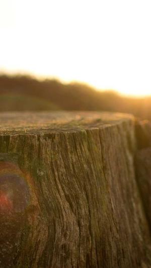 黑料不打烊6688截图1