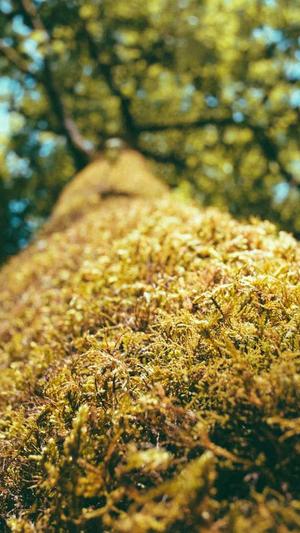 zztt08黑料不打烊截图3