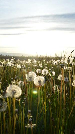 陈凯歌吃瓜爆料截图1