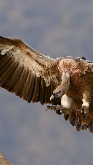 91黑料正能量截图3