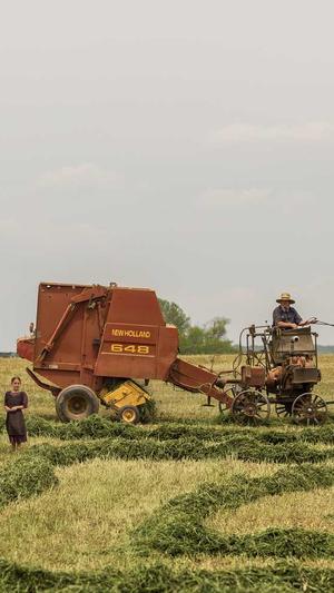 zzztttsu黑料截图1