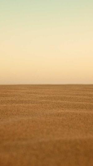 地梢瓜叶可以吃吗截图2