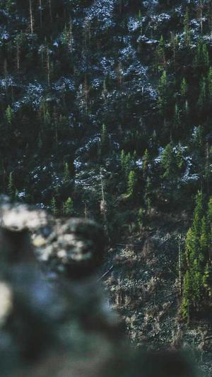 吃瓜观众的出处截图5