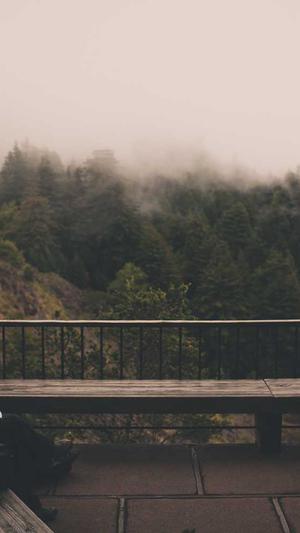 许魏洲黑料截图2