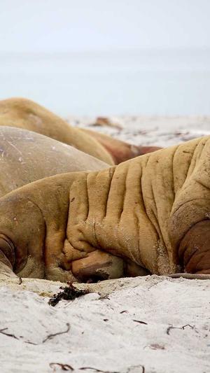 黑料不打烊封了吗截图4