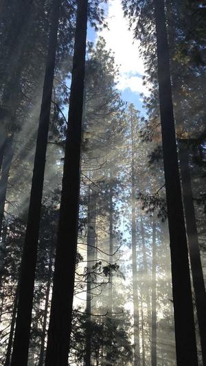 黑料不打烊一字马截图2