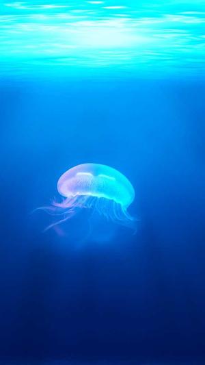 91黑料不打烊吃瓜截图1