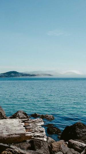 黑料不打烊被和谐了截图3