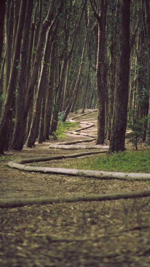 产后可以吃哈密瓜吗截图2