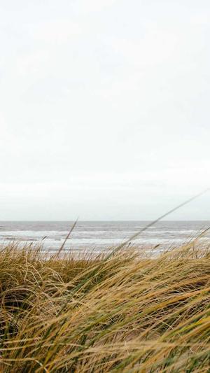 带你吃瓜空耳截图1