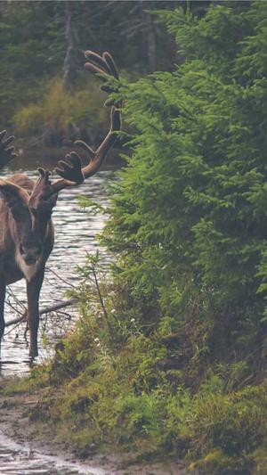 17c黑料吃瓜截图3