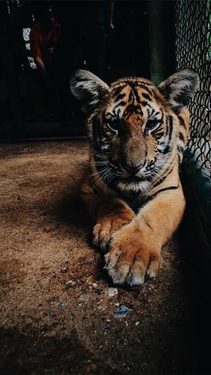 166su黑料不打官网入口截图3