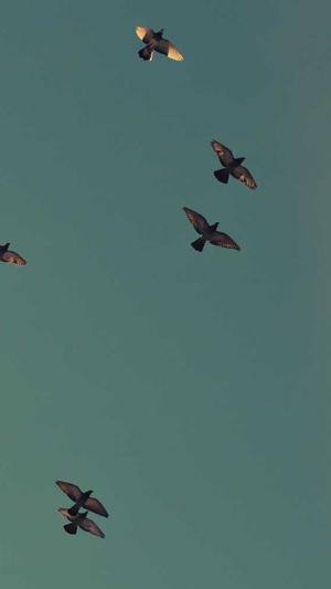 减肥吃土瓜会胖吗截图3