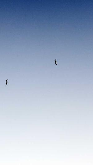 51吃瓜视频截图1