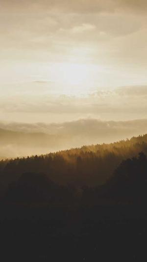 晚上吃哈密瓜好不好截图2