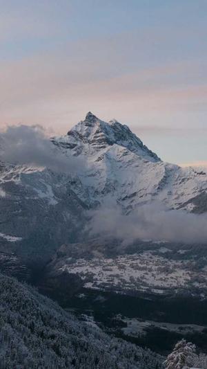 黑料不打烊最新入口截图2