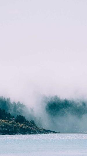 冯提莫黑料截图2