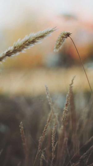 飞轮海成员辰亦儒吃瓜截图5