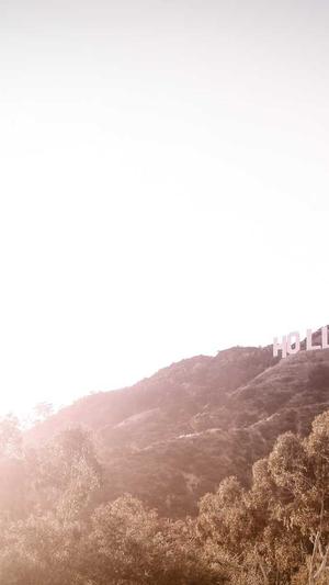 黑坑擒龙窝 青鱼窝料截图3