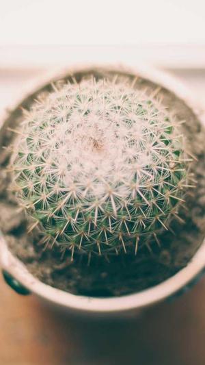 51吃瓜最新截图2