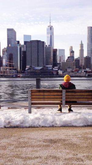 地梢瓜叶可以吃吗截图3