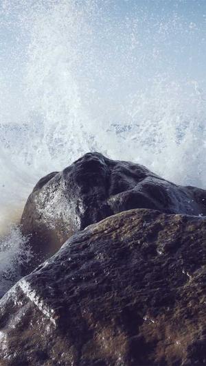 51吃瓜下载截图3