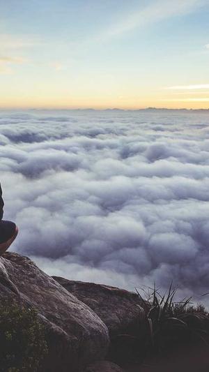 哈密瓜能蒸着吃吗截图3