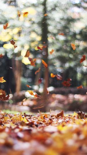 娱乐718吃瓜你我截图1