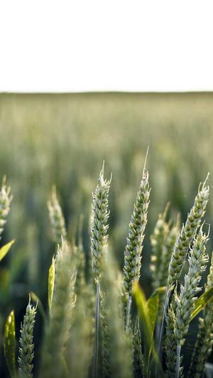 脸红dearie的黑料截图4