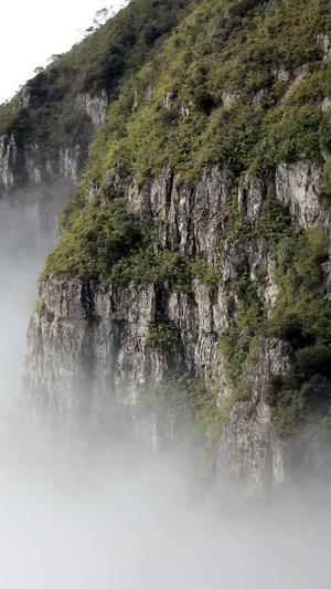 黑料不打烊免费截图4