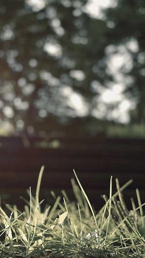 51每日吃瓜 必吃大瓜截图3