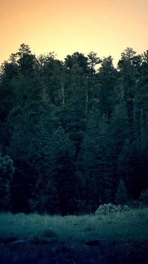 黑料不打烊封了吗截图3