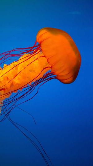 黑料不打烊导航截图3