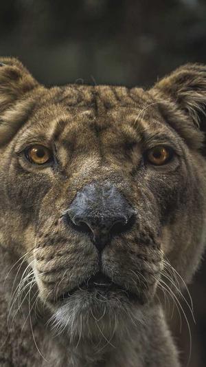 51吃瓜黑料不打烊截图1