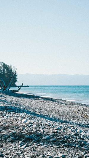 黑料社区网站截图4