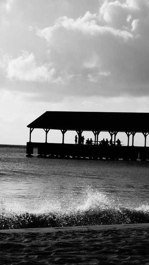 吃瓜是什么梗截图2