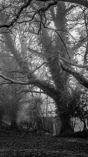 二甲双瓜饭前吃还是饭后吃截图5