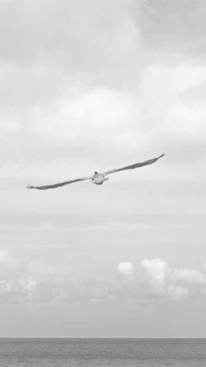 tttzzz.su黑料入口截图2