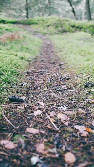 产后可以吃哈密瓜吗截图1