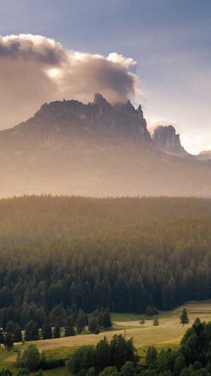 佛手瓜怎么吃没毒截图4