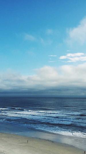 吃哈密瓜能减肥吗截图4