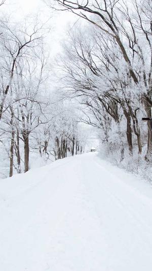 娱乐吃瓜李易峰截图4