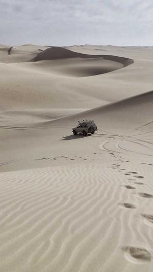 黑料正能量不打烊截图2