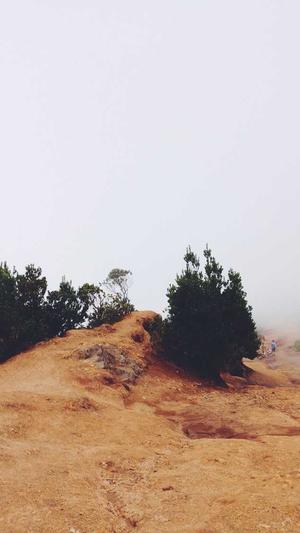 国产黑料在线观看截图2